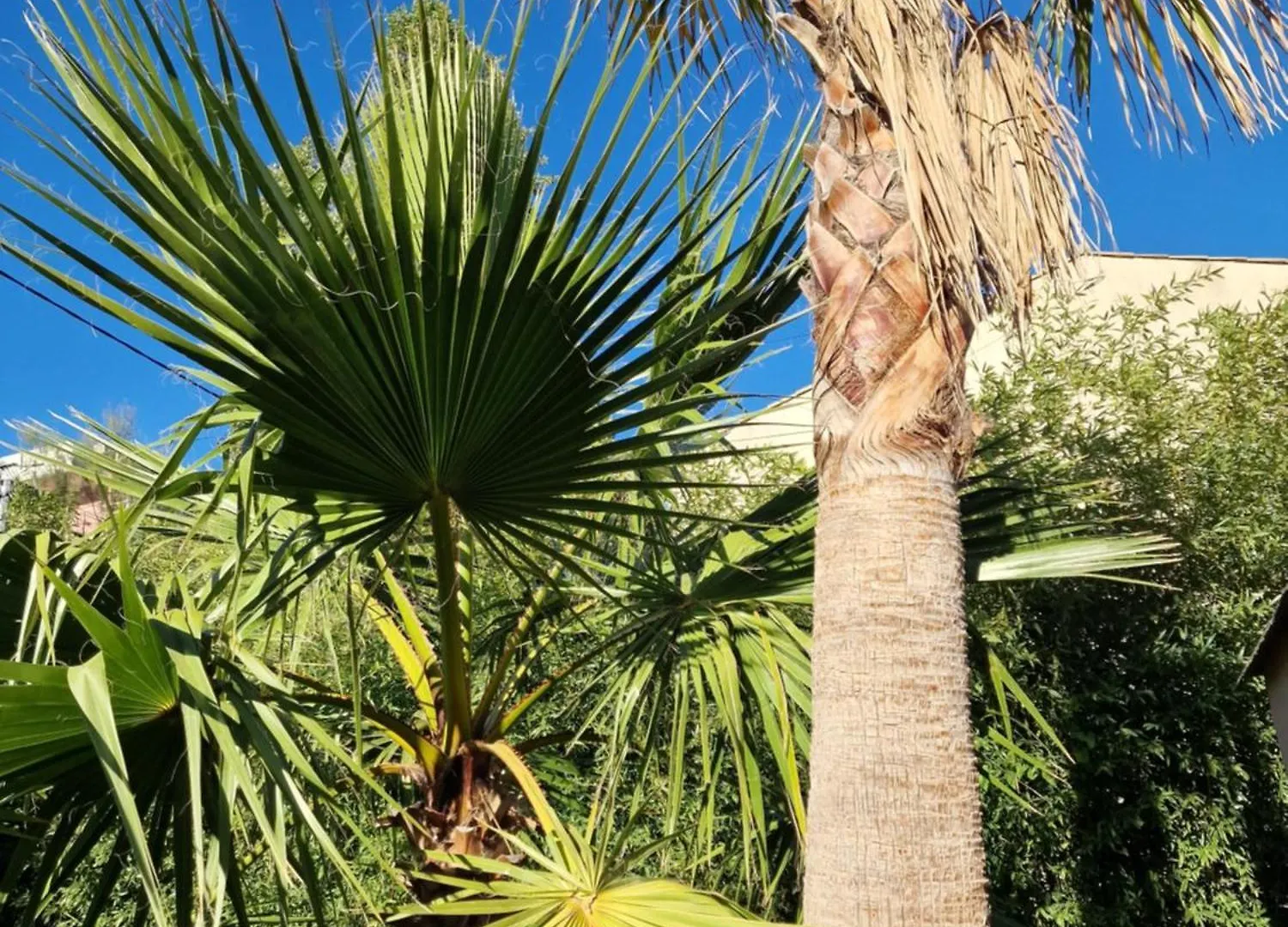 Apartment Haut De Villa A 700 Metres De La Plage, Totalement Independant Et Accessible Par Un Escalier Exterieur Sainte-Maxime